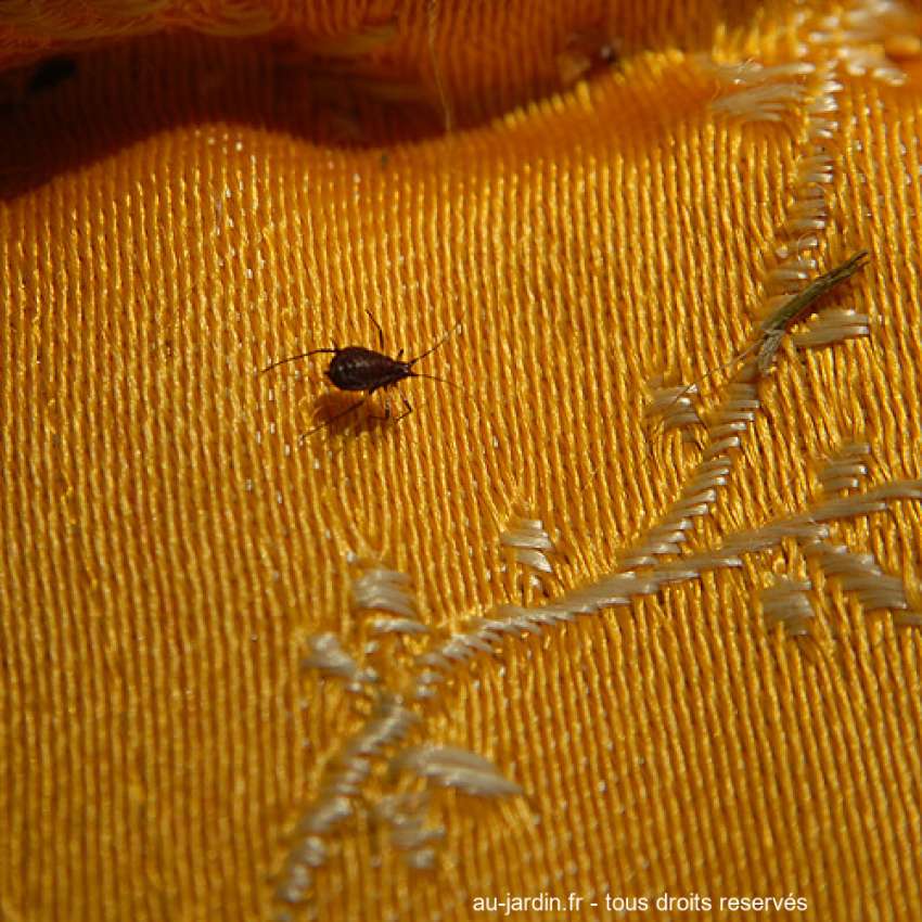 Featured blog image