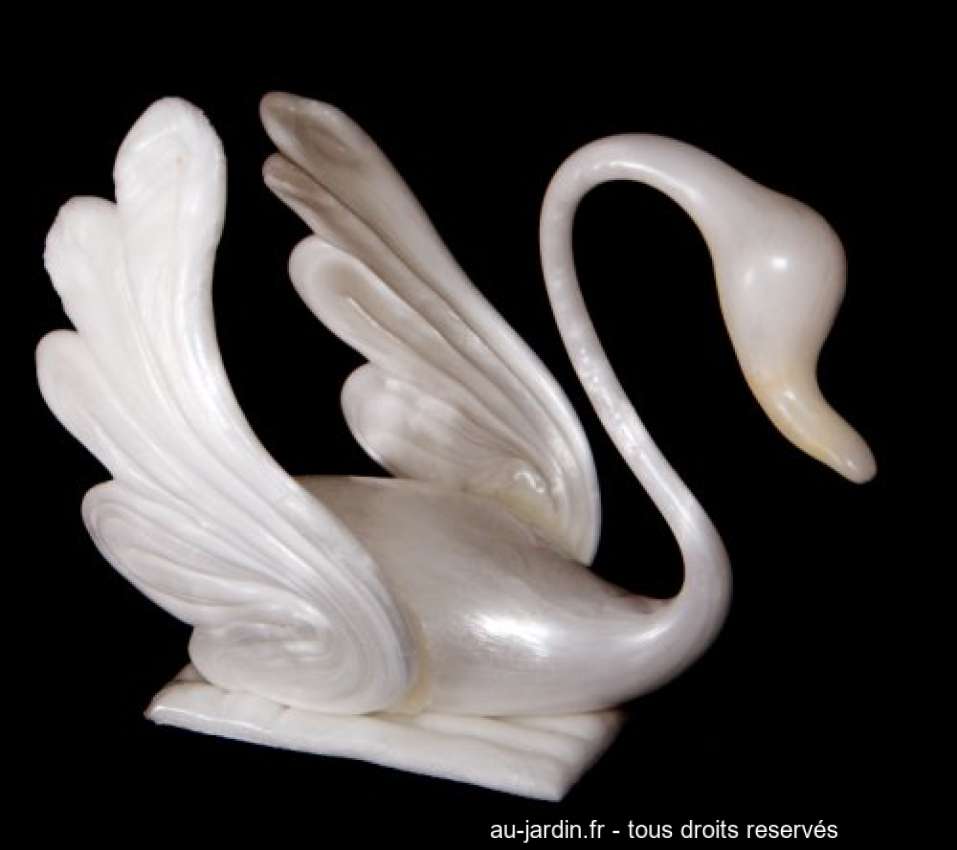 Featured blog image