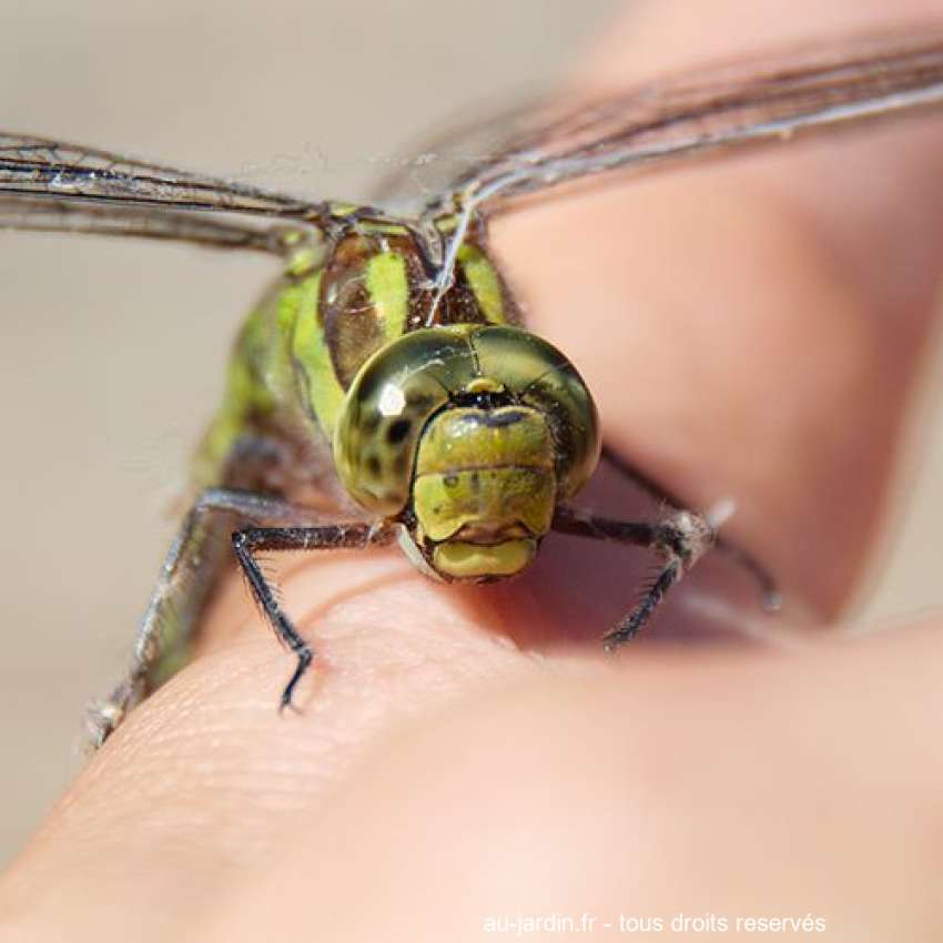 Featured blog image