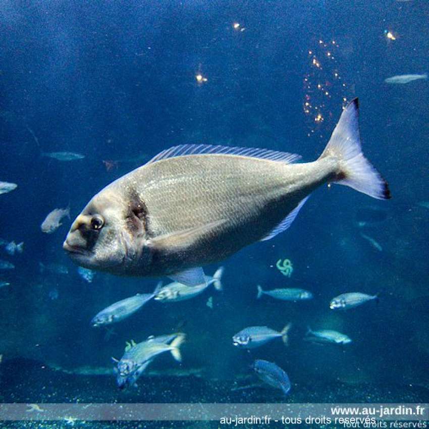 Featured blog image