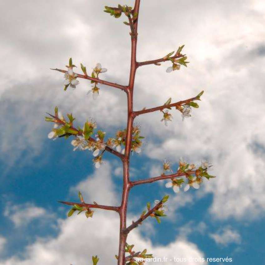 Featured blog image