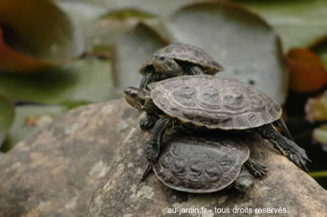 Featured blog image