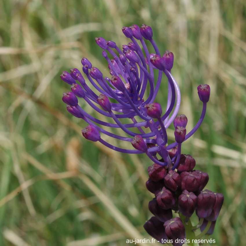 Featured blog image