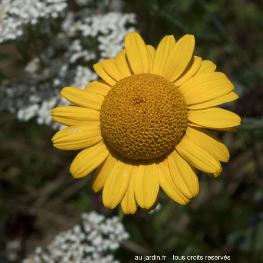 Featured blog image