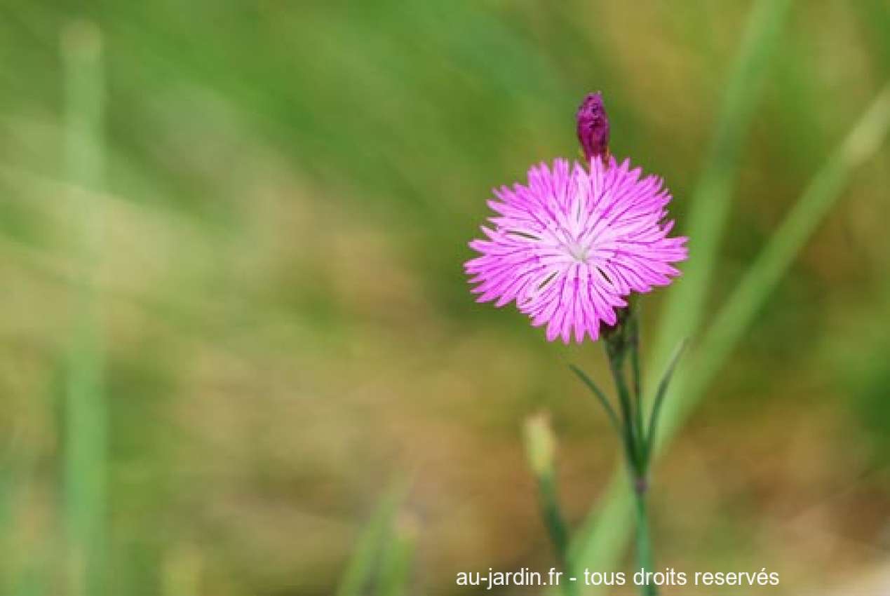 Featured blog image
