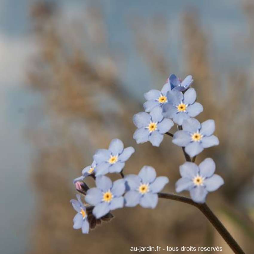 Featured blog image
