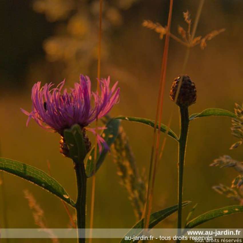Featured blog image
