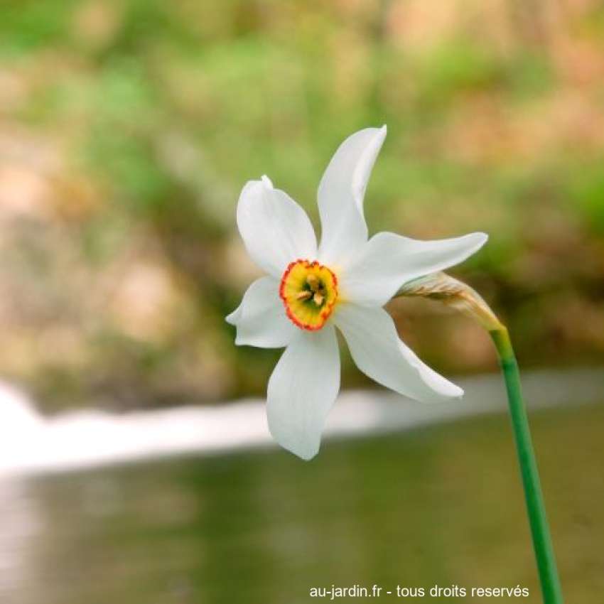 Featured blog image