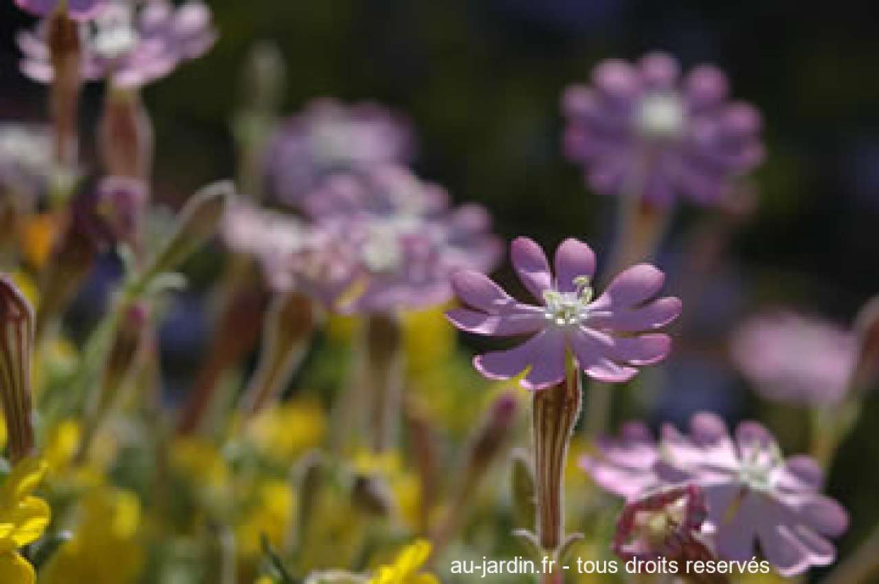 Featured blog image