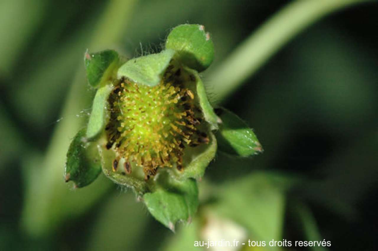 Featured blog image