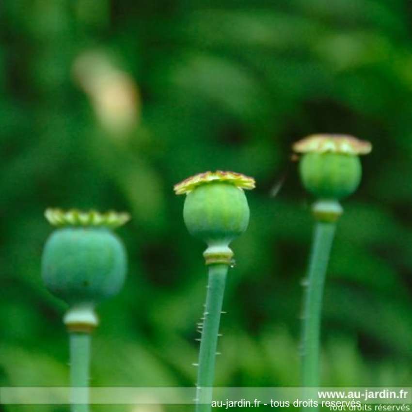 Featured blog image