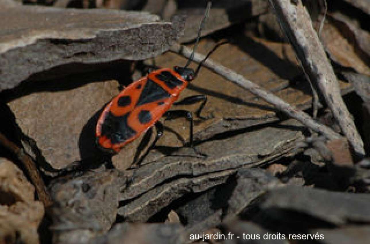 Featured blog image