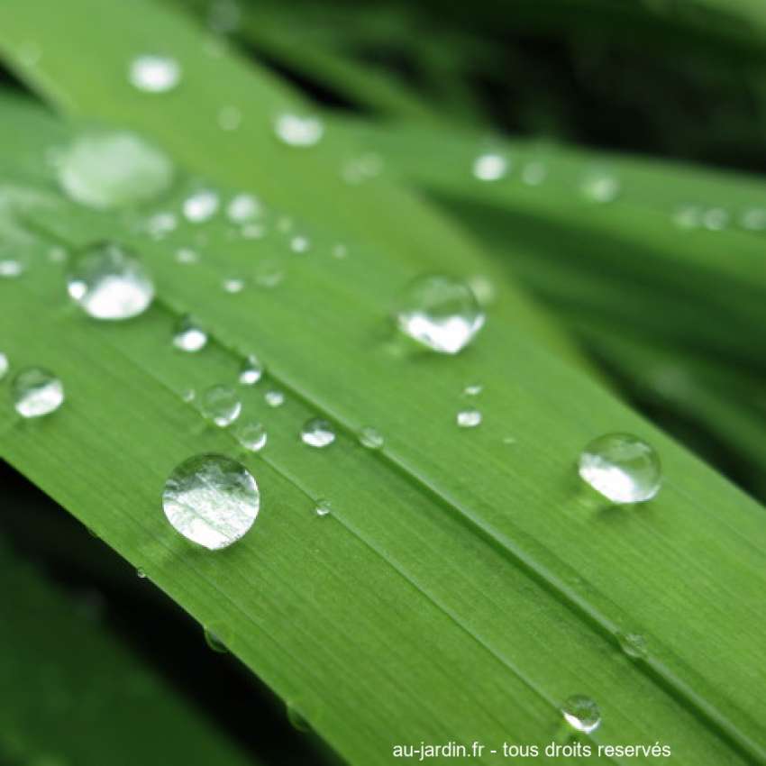 Featured blog image