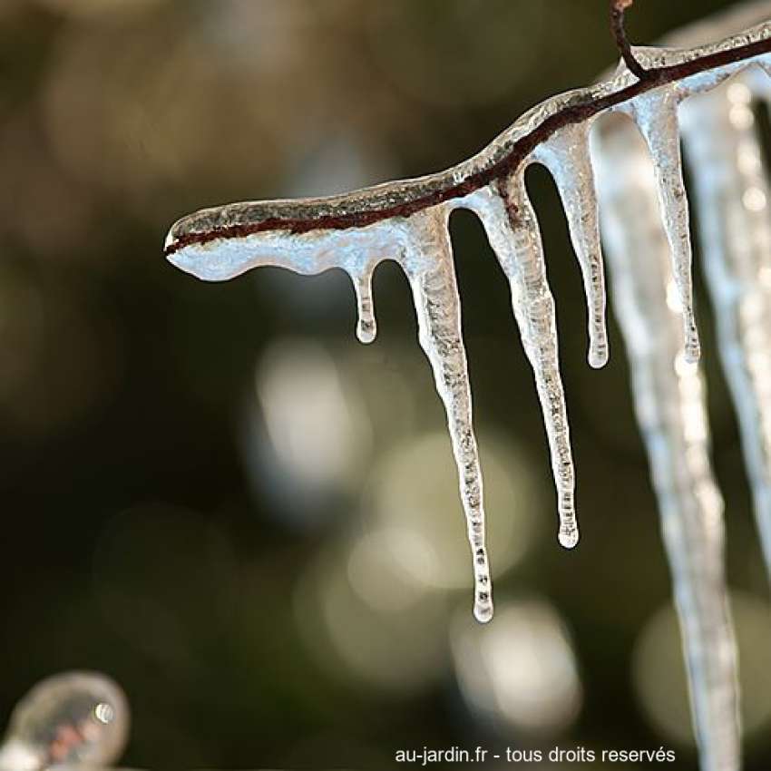 Featured blog image