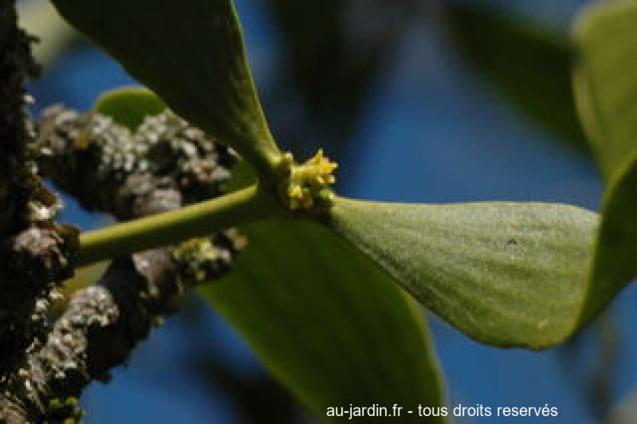 Featured blog image