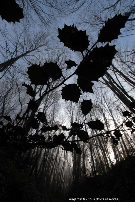 Featured blog image