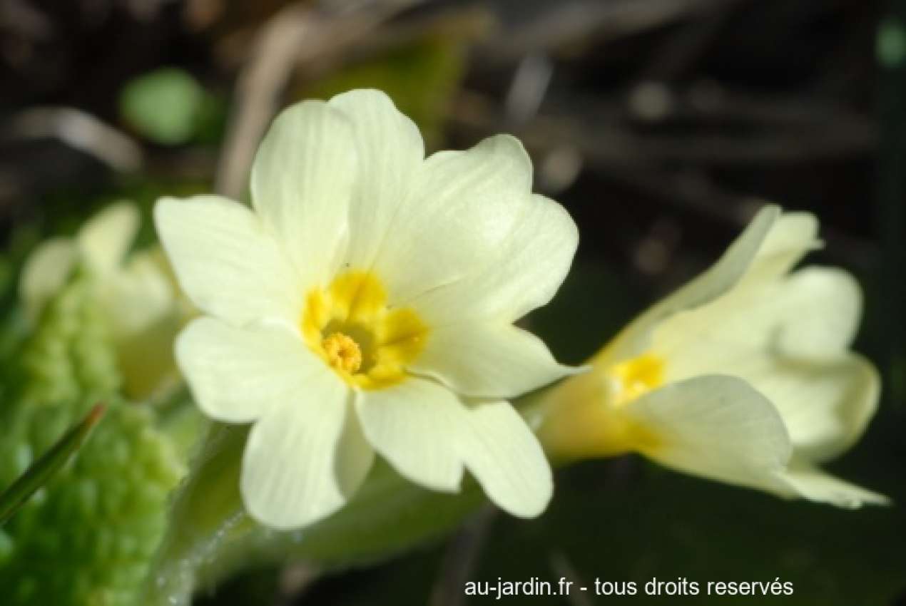 Featured blog image