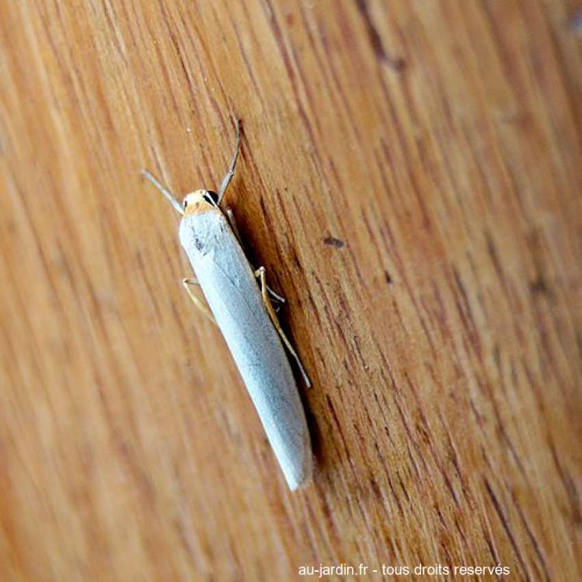 Featured blog image