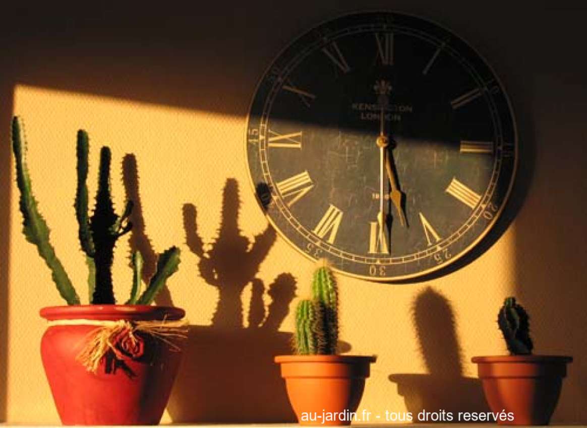 Featured blog image