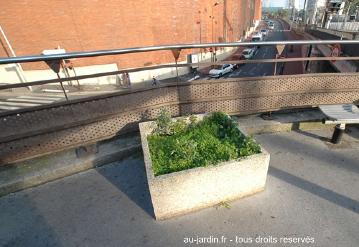 Featured blog image