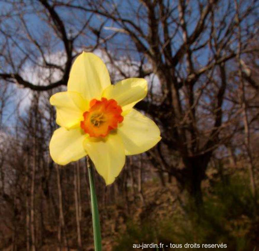 Featured blog image