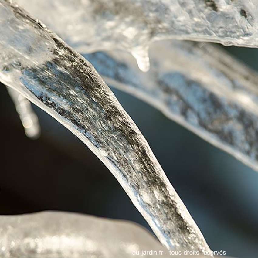 Featured blog image