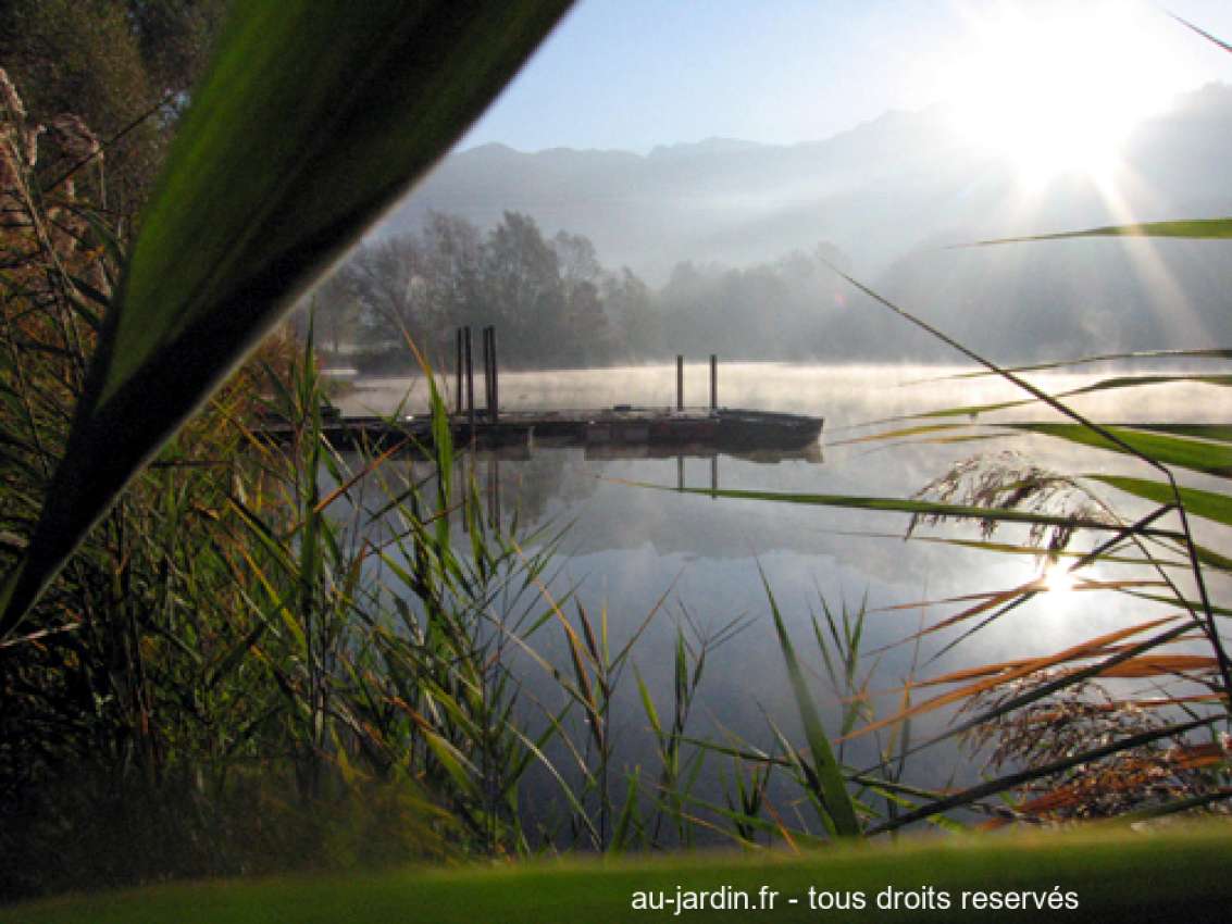 Featured blog image
