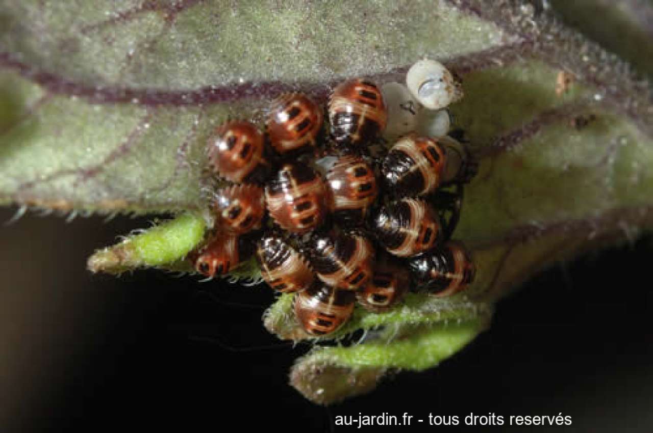 Featured blog image