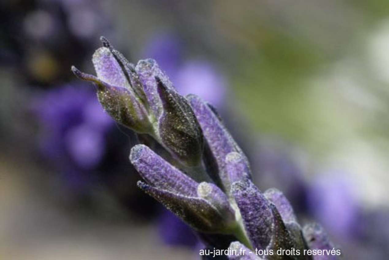 Featured blog image