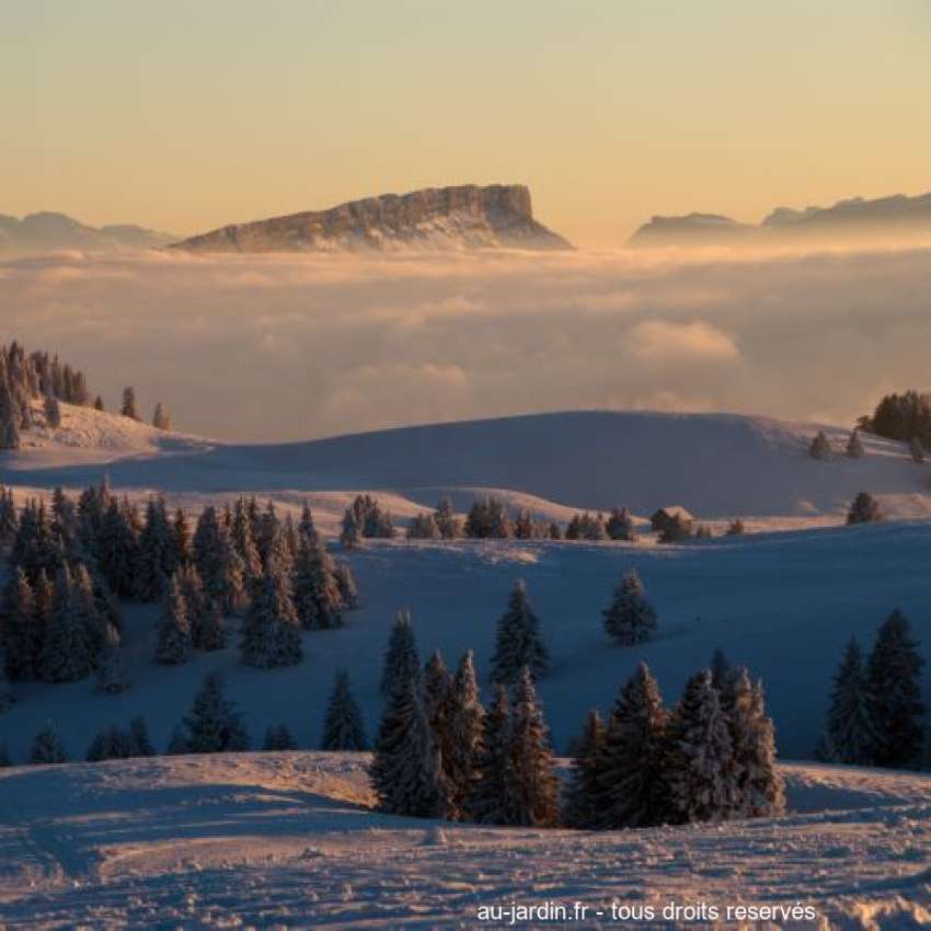 Featured blog image