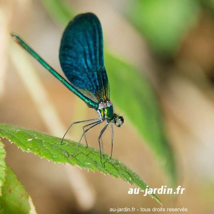 Featured blog image