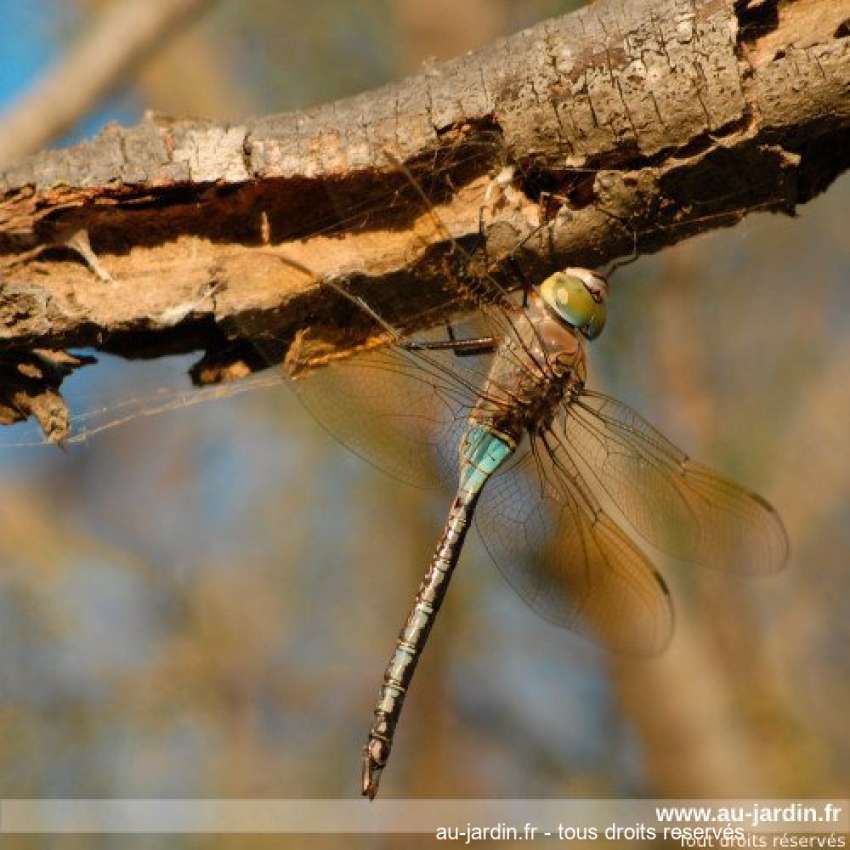 Featured blog image