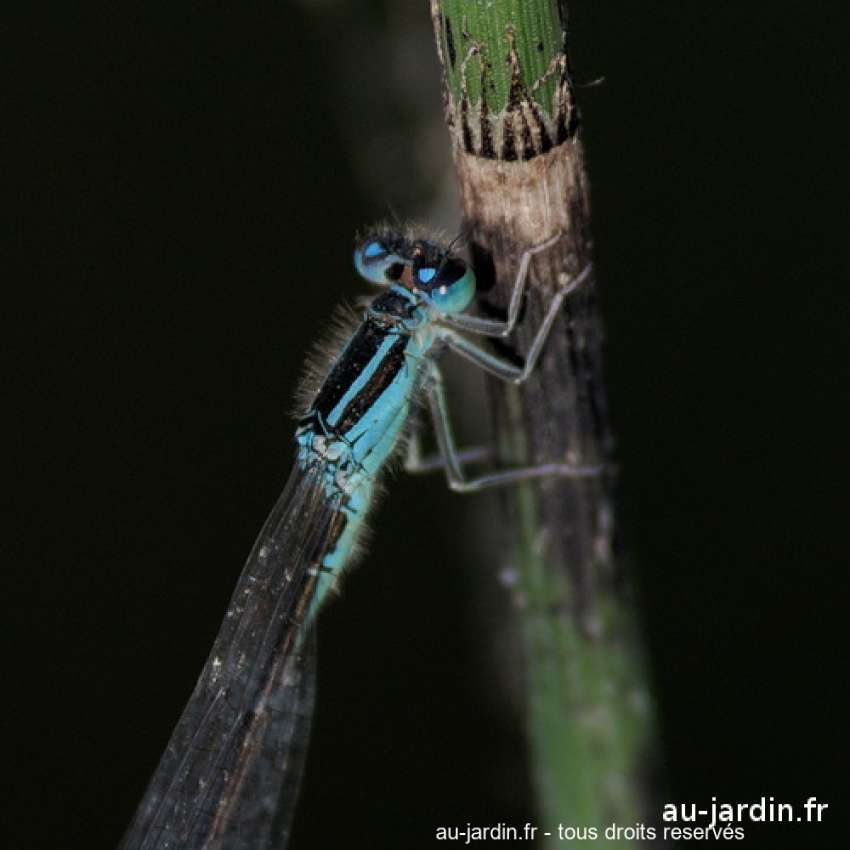 Featured blog image