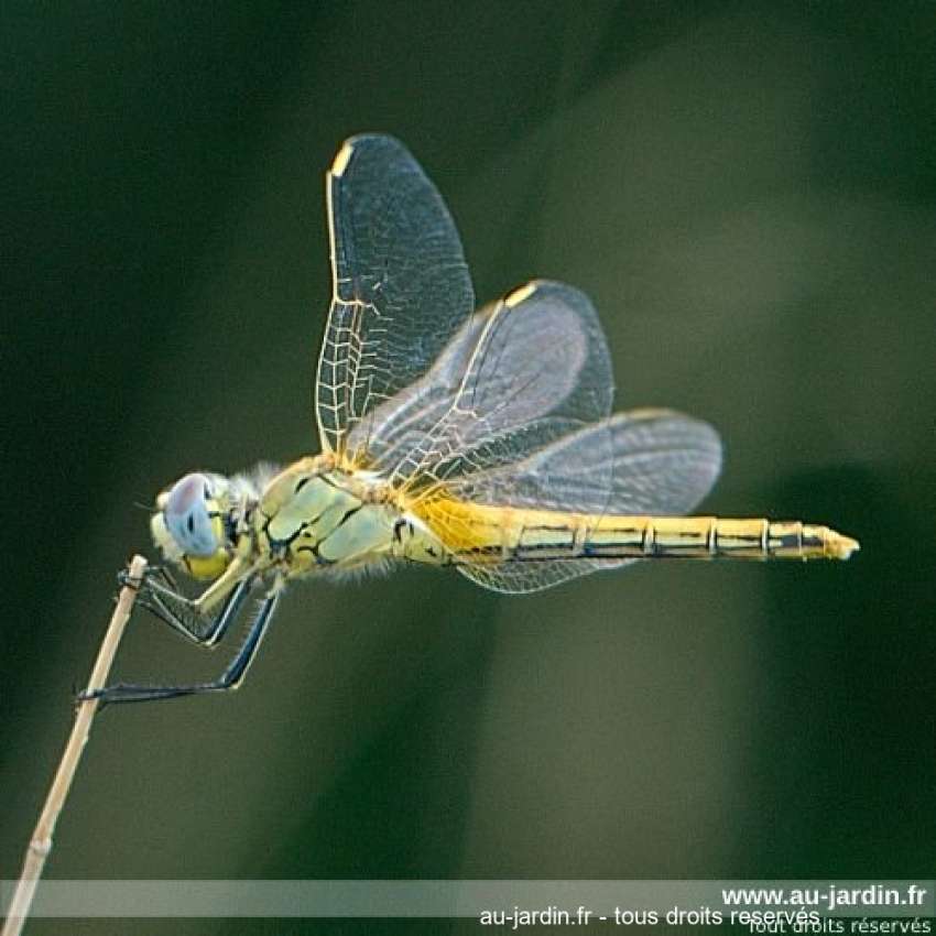 Featured blog image