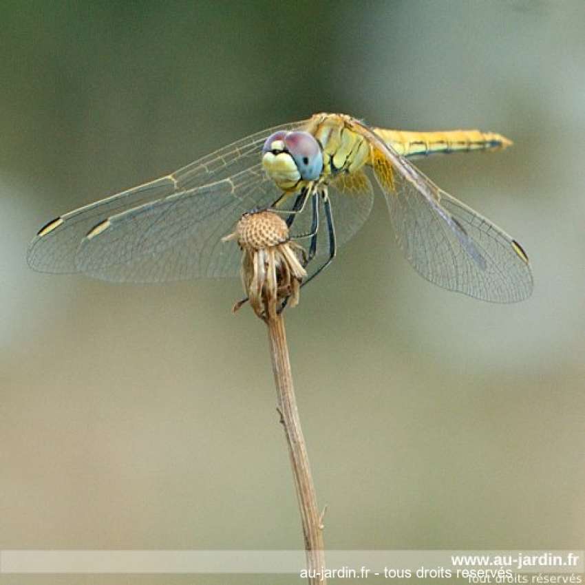 Featured blog image