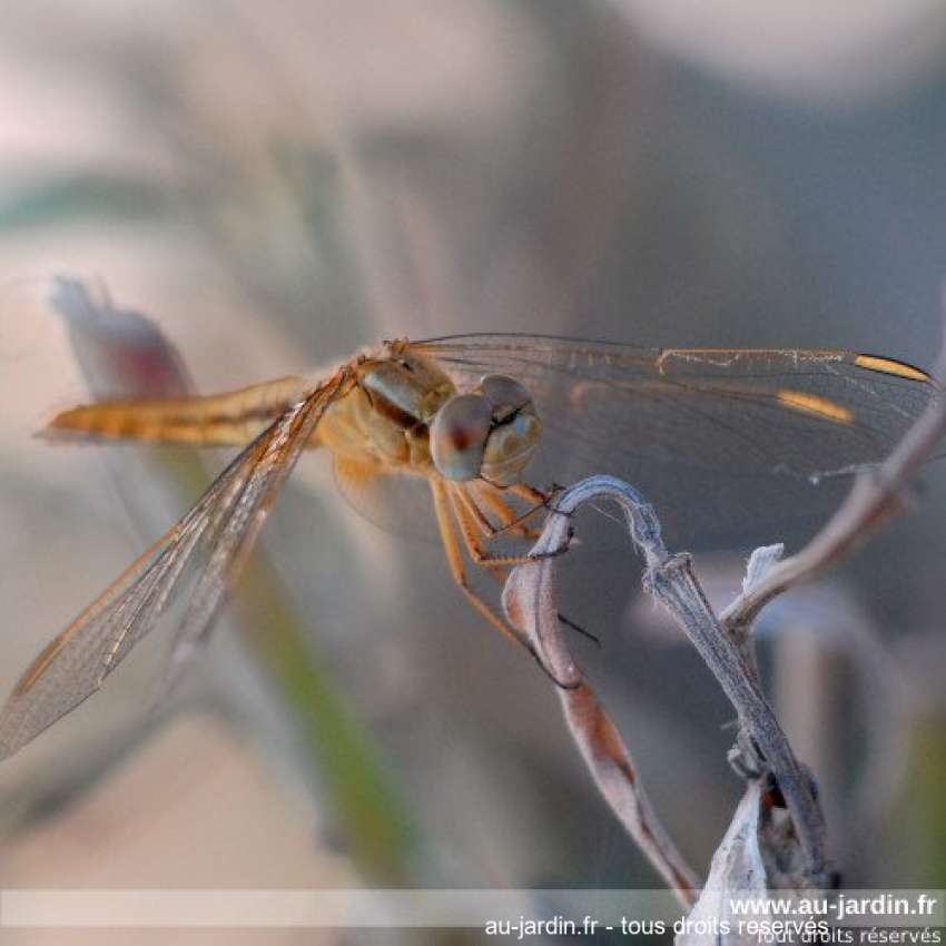 Featured blog image