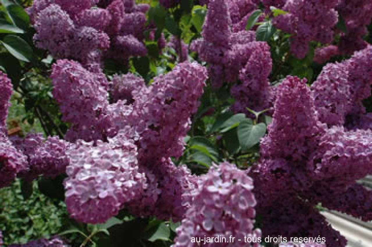 Featured blog image