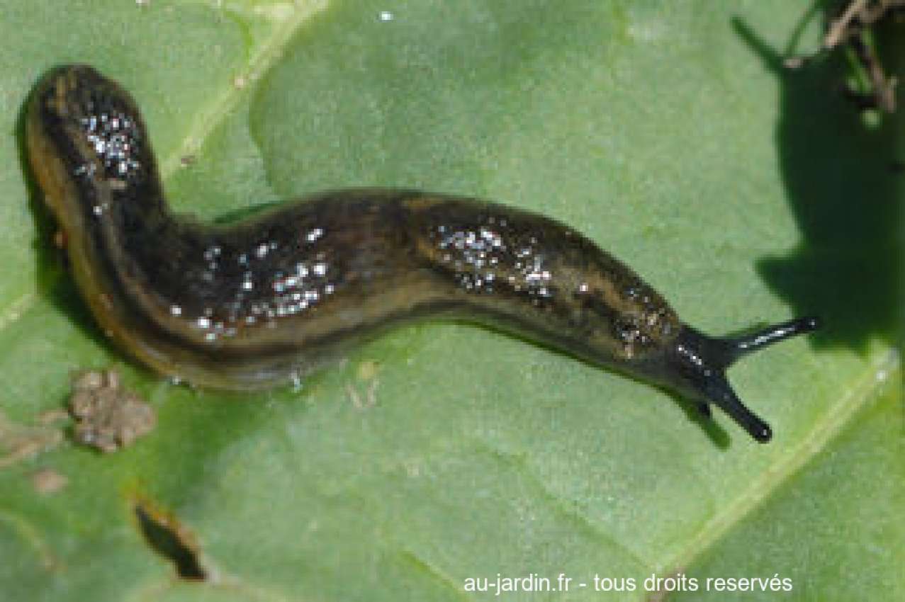 Featured blog image
