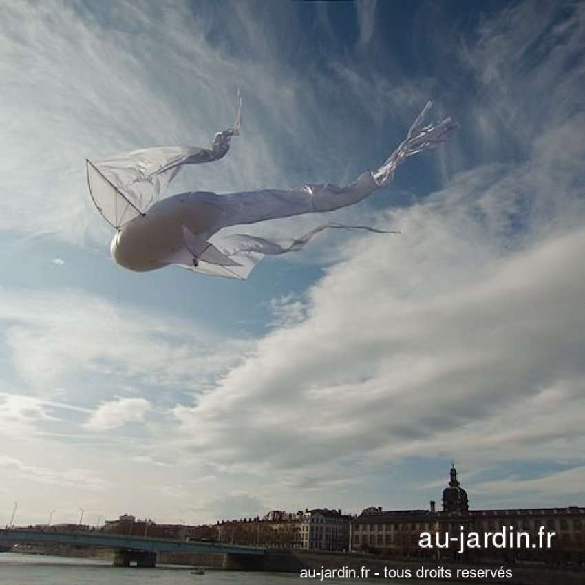 Featured blog image