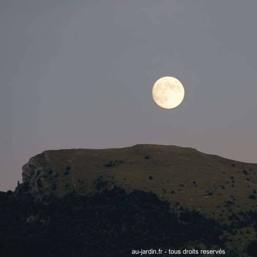 Featured blog image