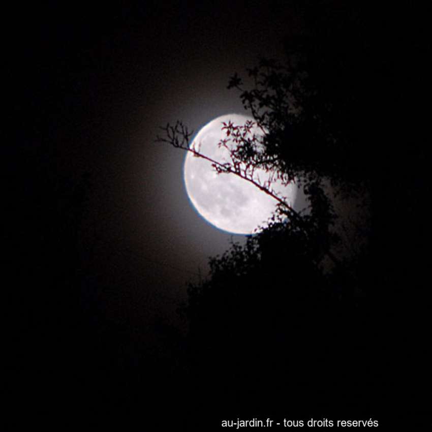Featured blog image