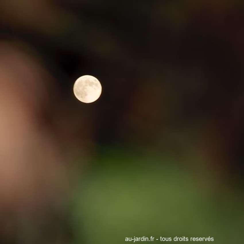 Featured blog image
