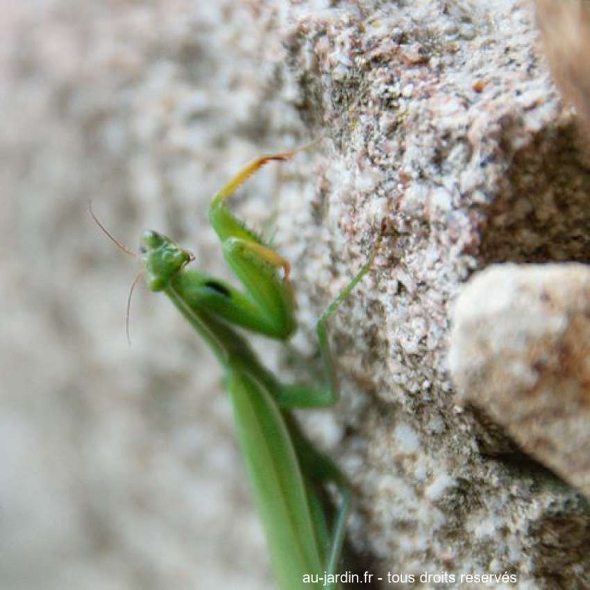 Featured blog image
