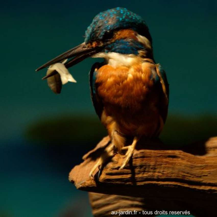 Featured blog image