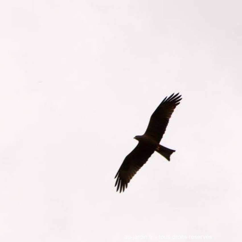 Featured blog image