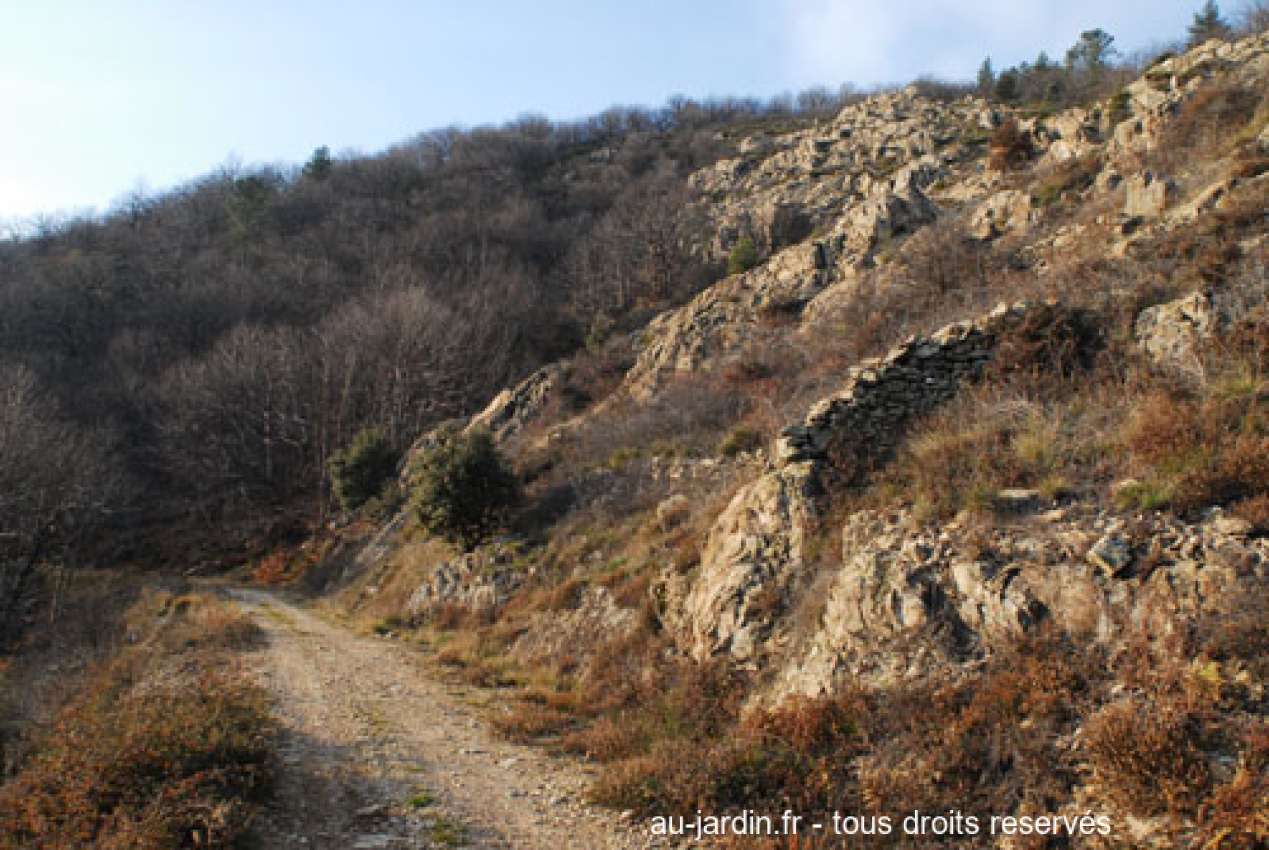 Featured blog image