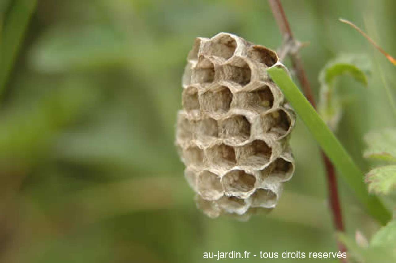 Featured blog image