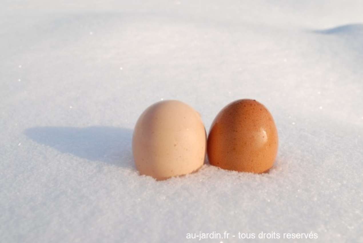 Featured blog image