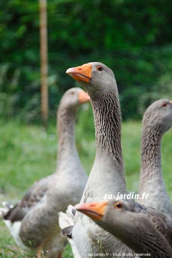 Featured blog image