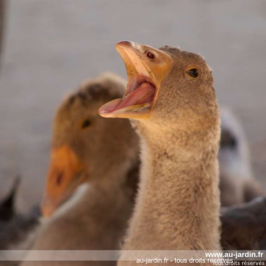 Featured blog image